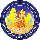 ระบบสายทาง